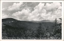 Great Smoky Mountains National Park Scene Along The Skyway North Carolina Postcard Postcard Postcard