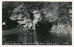 Martin Spring, Martin Springs Tennessee Postcard