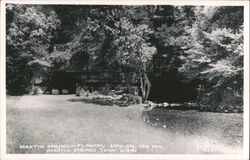 Martin Spring, Flowing 6500 Gal. Per Min. Postcard