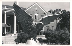 Big Eagle Statue, Monteagle Hotel Postcard