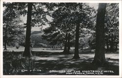 Monteagle Hotel Grounds, Monteagle, Tennessee Postcard