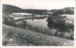 Holston River Kingsport Tenn Scenic View Postcard