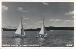 Sailboats on Norris Lake Tennessee Postcard Postcard Postcard