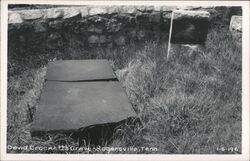 David Crockett's Grave, Rogersville Tennessee Postcard Postcard Postcard