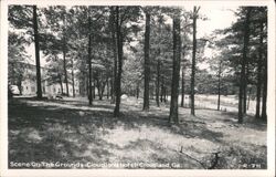 Cloudland Hotel Grounds, Cloudland GA Georgia Postcard Postcard Postcard