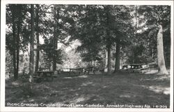 Picnic Grounds, Crystal Springs Lake Gadsden, AL Postcard Postcard Postcard