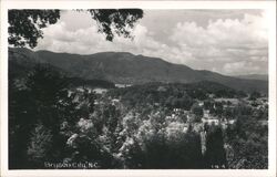 Bryson City, NC Town View Postcard