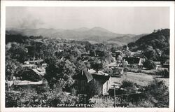 Bryson City, NC Town View Postcard