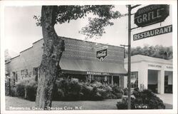 Brookside Grill Restaurant, Bryson City, NC - Coca-Cola Sign Postcard