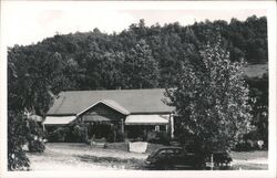 Lloyds Motor Court, Ela, NC - Vintage Postcard View North Carolina Postcard Postcard