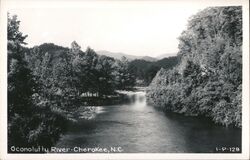 Oconalufty River, Cherokee, NC North Carolina Postcard Postcard Postcard