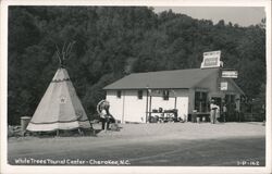 White Trees Tourist Center, Cherokee, NC - Vintage Postcard Postcard