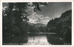 Oconalufty River, Cherokee, North Carolina Postcard Postcard Postcard