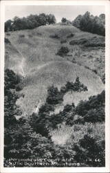 Perpendicular Corn Field in the Southern Mountains Postcard