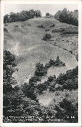 Perpendicular Corn Field in the Southern Mountains Landscapes Postcard Postcard Postcard