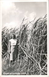 Woman Posing by Sugar Cane Postcard