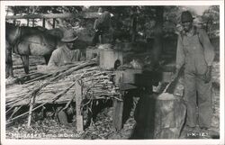 Making Molasses, Dixie Black Americana Postcard Postcard Postcard