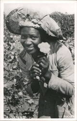 Smiling African American Woman Holding Cotton Boll in Field Postcard