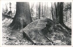 Joyce Kilmer Memorial Forest, Near Tapoco, NC Postcard