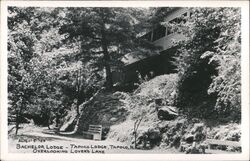 Bachelor Lodge Overlooking Lover's Lane, Tapoco Lodge Postcard