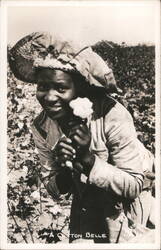 African American Woman Holding Cotton Bloom, Cotton Belle Black Americana Postcard Postcard Postcard