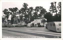 Orange Blossom Trailer Park, Grocery Market, Orlando, FL Florida Postcard Postcard Postcard