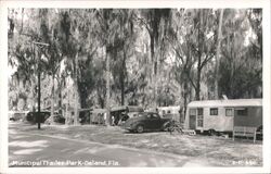 Municipal Trailer Park, Vintage Cars, DeLand, Florida Postcard Postcard Postcard