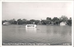 Glass Bottom Boat at The Great Spring Crystal River, FL Postcard Postcard Postcard