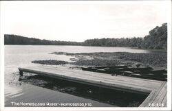 Homosassa River, dock, boats, Florida Postcard