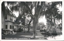 Riverside Lodge, Homosassa, Florida Postcard