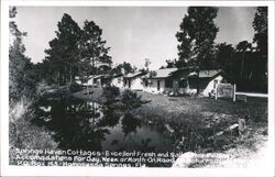 Springs Haven Cottages, Homosassa Springs Florida Postcard Postcard Postcard