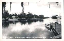 Homosassa River, Florida - Boats, Docks, Bait & Tackle Shop Postcard