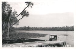 Homosassa River, Florida with Boats and Dock Postcard