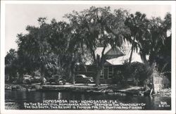 Homosassa Inn on Homosassa River Postcard