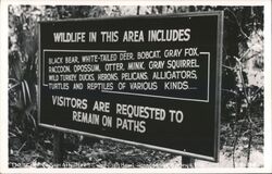 Wildlife Sign at Nature's Giant Fish Bowl Postcard