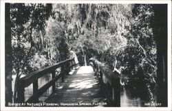 Bridge at Nature's Fishbowl, Homosassa Springs Postcard