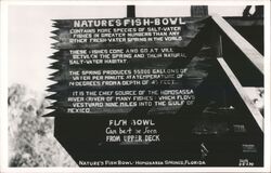 Nature's Fish Bowl Sign, Homosassa Springs Postcard