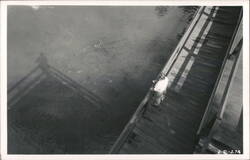 Man Feeding Fish From Bridge Postcard