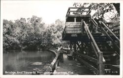 Homosassa Springs Bridge & Tower Nature's Fish Bowl Postcard