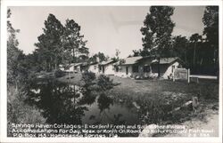 Springs Haven Cottages, Homosassa Springs, Florida Postcard