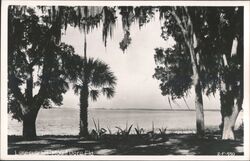 Lakeside Inn, Mount Dora, Florida Postcard