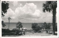 Lake Dora Seen From Grandview Hotel Postcard