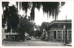 Mount Dora, Florida Street Scene Postcard