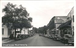 Mount Dora, Florida Street Scene with Princess Theatre Postcard