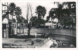 Monkey Island Municipal Zoo Sanford Florida Monkeys in Enclosure Postcard