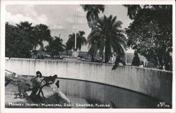 Monkey Island Municipal Zoo Monkeys Sanford Florida Postcard