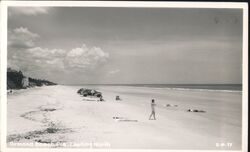 Ormond Beach, Florida Beach View Looking North Postcard