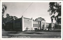 Orange City School, Orange City, Florida Postcard