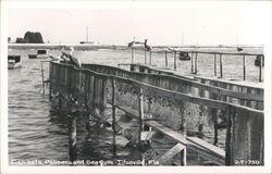 Fish Nets, Pelicans and Sea Gulls Postcard