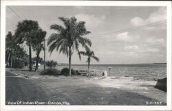 View of Indian River, Cocoa, Florida Postcard